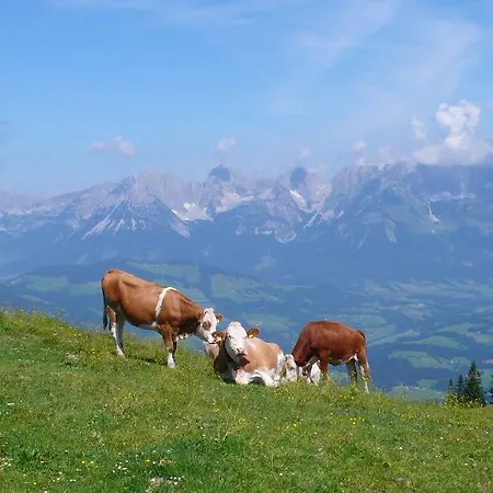 Haus Schoenblick * Kirchberg in Tirol